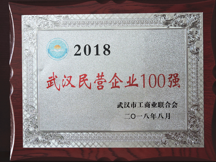 2018年武漢民營企業(yè)100強